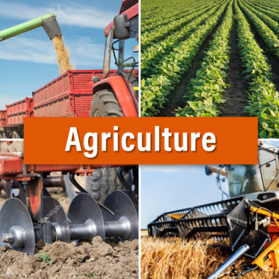 TS_Agriculture_Graphic